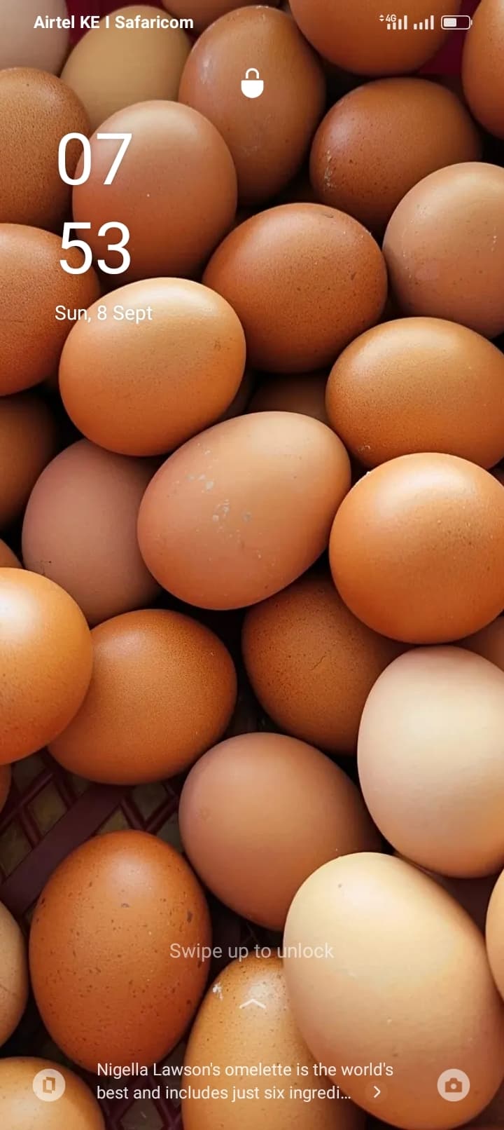 Discover the Heart of Quality Poultry at Poultry 24/7 in Nairobi